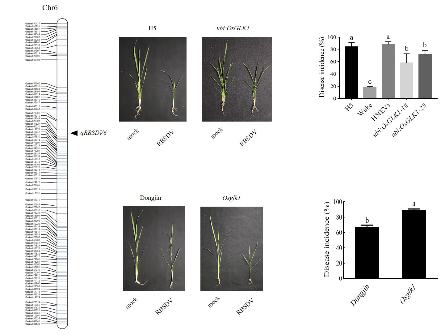 1668582684506685.jpg 113.jpg